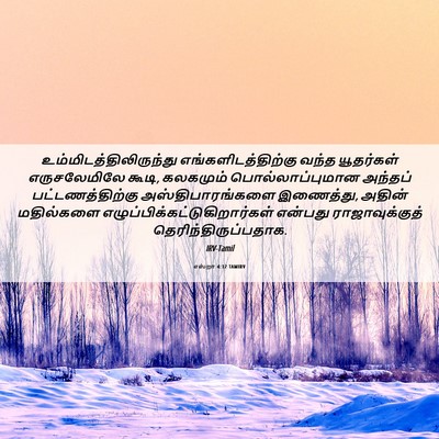 Picture 06 - எஸ்றா 4:12 TAMIRV -  - Bible Verse Picture