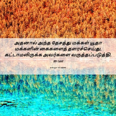 Picture 06 - எஸ்றா 4:4 TAMIRV - அதனால் அந்த - Bible Verse Picture