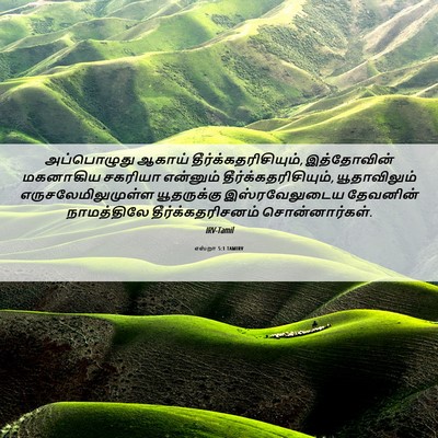 Picture 06 - எஸ்றா 5:1 TAMIRV - அப்பொழுது ஆகாய் - Bible Verse Picture
