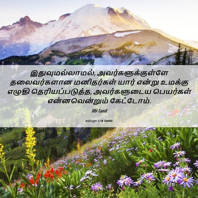 Picture 06 - எஸ்றா 5:10 TAMIRV - இதுவுமல்லாமல், - Bible Verse Picture