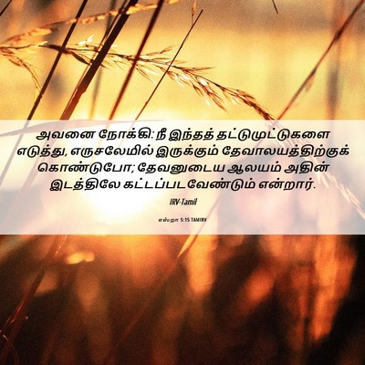 Picture 06 - எஸ்றா 5:15 TAMIRV - அவனை நோக்கி: நீ - Bible Verse Picture