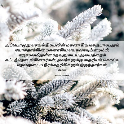 Picture 06 - எஸ்றா 5:2 TAMIRV - அப்பொழுது - Bible Verse Picture