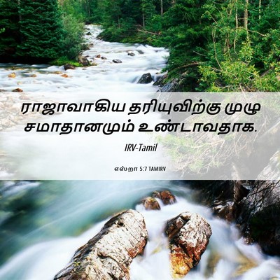 Picture 06 - எஸ்றா 5:7 TAMIRV - ராஜாவாகிய - Bible Verse Picture