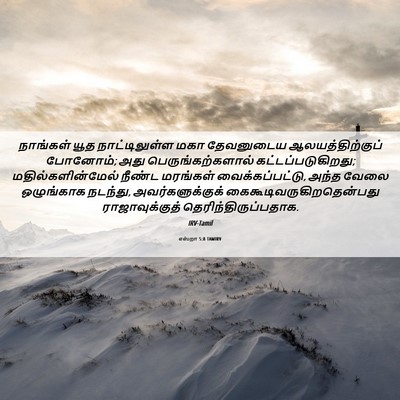 Picture 06 - எஸ்றா 5:8 TAMIRV - நாங்கள் யூத - Bible Verse Picture