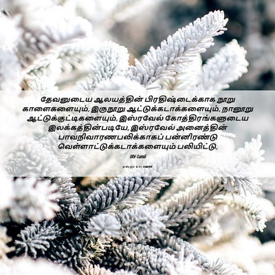 Picture 06 - எஸ்றா 6:17 TAMIRV - தேவனுடைய - Bible Verse Picture