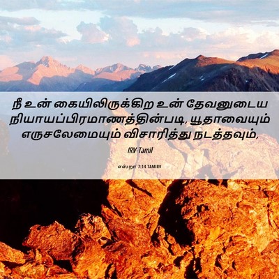 Picture 06 - எஸ்றா 7:14 TAMIRV - நீ உன் - Bible Verse Picture