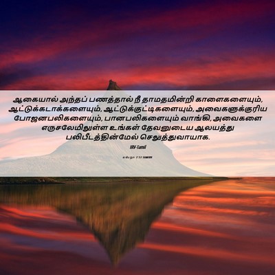 Picture 06 - எஸ்றா 7:17 TAMIRV - ஆகையால் அந்தப் - Bible Verse Picture
