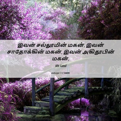 Picture 06 - எஸ்றா 7:2 TAMIRV - இவன் சல்லூமின் - Bible Verse Picture