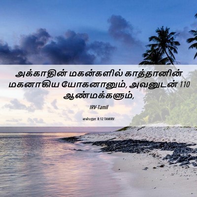 Picture 06 - எஸ்றா 8:12 TAMIRV - அக்காதின் - Bible Verse Picture