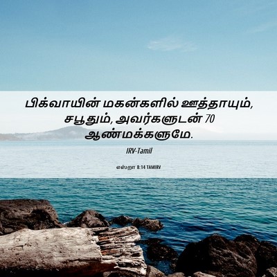 Picture 06 - எஸ்றா 8:14 TAMIRV - பிக்வாயின் - Bible Verse Picture