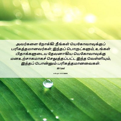 Picture 06 - எஸ்றா 8:28 TAMIRV - அவர்களை நோக்கி: - Bible Verse Picture