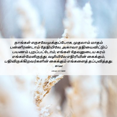 Picture 06 - எஸ்றா 8:31 TAMIRV - நாங்கள் - Bible Verse Picture