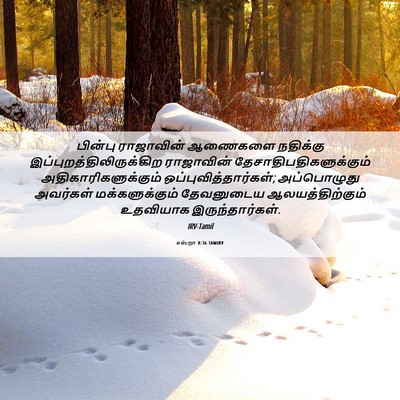 Picture 06 - எஸ்றா 8:36 TAMIRV - பின்பு ராஜாவின் - Bible Verse Picture