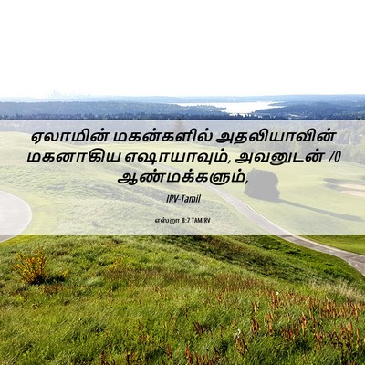 Picture 06 - எஸ்றா 8:7 TAMIRV - ஏலாமின் மகன்களில் - Bible Verse Picture