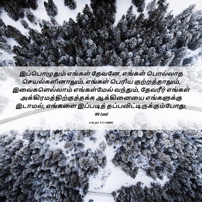 Picture 06 - எஸ்றா 9:13 TAMIRV - இப்பொழுதும் - Bible Verse Picture