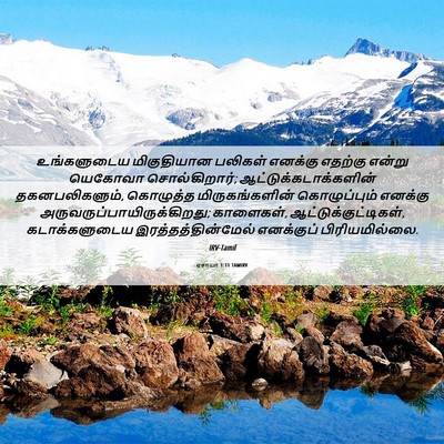 Picture 06 - ஏசாயா 1:11 TAMIRV - உங்களுடைய - Bible Verse Picture