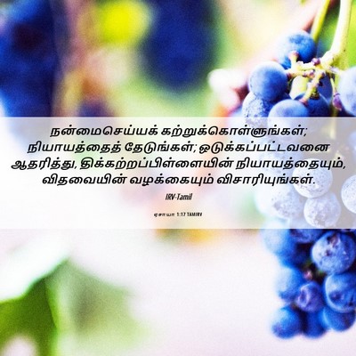 Picture 06 - ஏசாயா 1:17 TAMIRV - நன்மைசெய்யக் - Bible Verse Picture