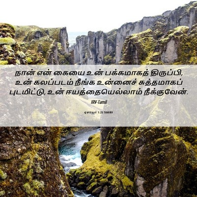 Picture 06 - ஏசாயா 1:25 TAMIRV - நான் என் கையை உன் - Bible Verse Picture