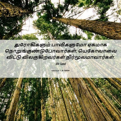 Picture 06 - ஏசாயா 1:28 TAMIRV - துரோகிகளும் - Bible Verse Picture