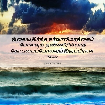 Picture 06 - ஏசாயா 1:30 TAMIRV - இலையுதிர்ந்த - Bible Verse Picture