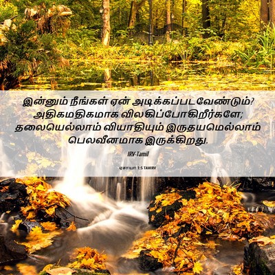 Picture 06 - ஏசாயா 1:5 TAMIRV - இன்னும் நீங்கள் - Bible Verse Picture