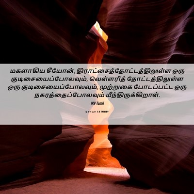 Picture 06 - ஏசாயா 1:8 TAMIRV - மகளாகிய சீயோன், - Bible Verse Picture