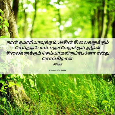 Picture 06 - ஏசாயா 10:11 TAMIRV - நான் - Bible Verse Picture