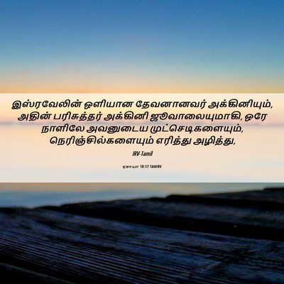 Picture 06 - ஏசாயா 10:17 TAMIRV - இஸ்ரவேலின் ஒளியான - Bible Verse Picture
