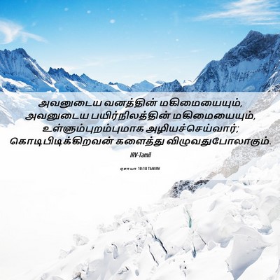 Picture 06 - ஏசாயா 10:18 TAMIRV - அவனுடைய வனத்தின் - Bible Verse Picture