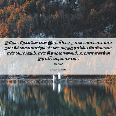 Picture 06 - ஏசாயா 12:2 TAMIRV - இதோ, தேவனே என் - Bible Verse Picture