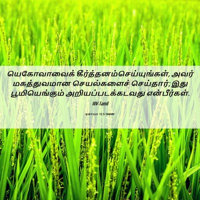 Picture 06 - ஏசாயா 12:5 TAMIRV - யெகோவாவைக் - Bible Verse Picture