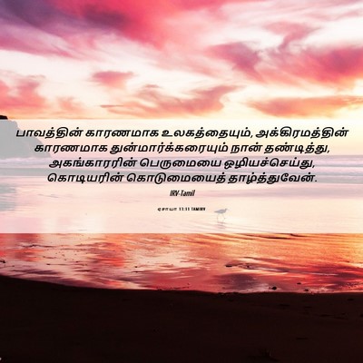 Picture 06 - ஏசாயா 13:11 TAMIRV - பாவத்தின் காரணமாக - Bible Verse Picture