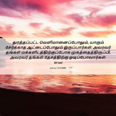 Picture 06 - ஏசாயா 13:14 TAMIRV - துரத்தப்பட்ட - Bible Verse Picture