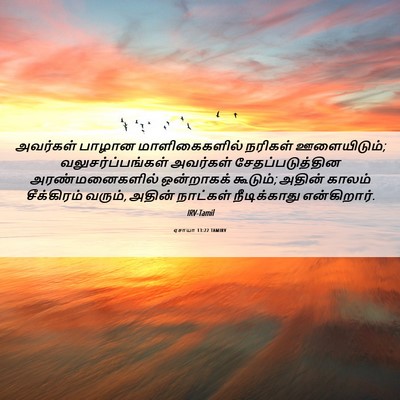 Picture 06 - ஏசாயா 13:22 TAMIRV - அவர்கள் பாழான - Bible Verse Picture