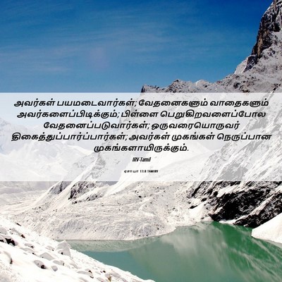 Picture 06 - ஏசாயா 13:8 TAMIRV - அவர்கள் - Bible Verse Picture