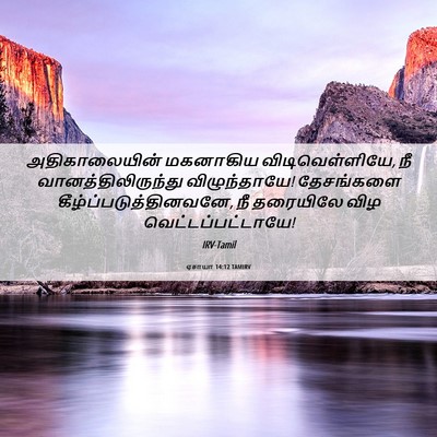 Picture 06 - ஏசாயா 14:12 TAMIRV - அதிகாலையின் - Bible Verse Picture