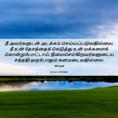 Picture 06 - ஏசாயா 14:20 TAMIRV - நீ அவர்களுடன் - Bible Verse Picture