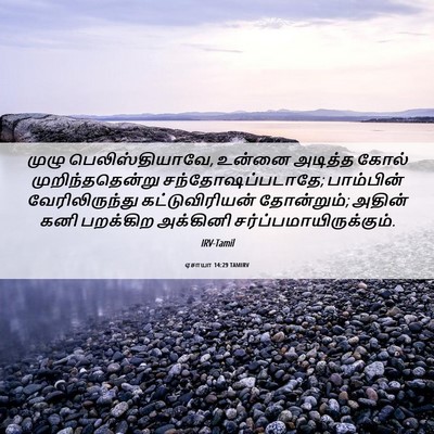 Picture 06 - ஏசாயா 14:29 TAMIRV - முழு - Bible Verse Picture