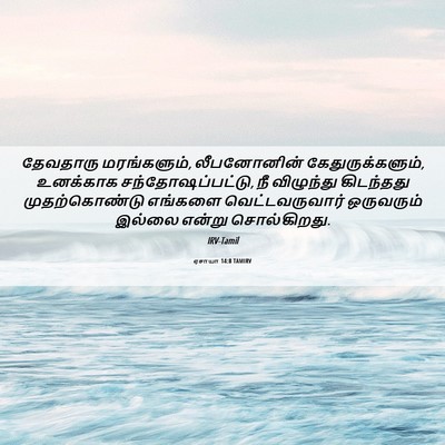 Picture 06 - ஏசாயா 14:8 TAMIRV - தேவதாரு - Bible Verse Picture