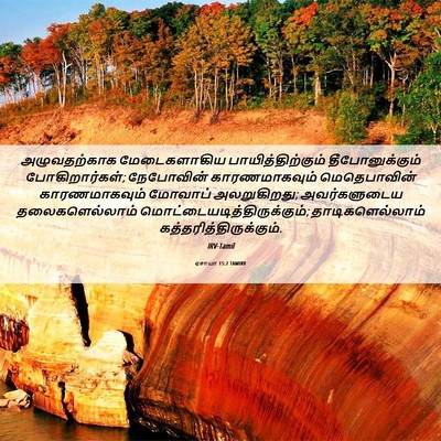 Picture 06 - ஏசாயா 15:2 TAMIRV - அழுவதற்காக - Bible Verse Picture