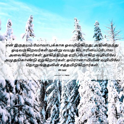 Picture 06 - ஏசாயா 15:5 TAMIRV - என் இருதயம் - Bible Verse Picture