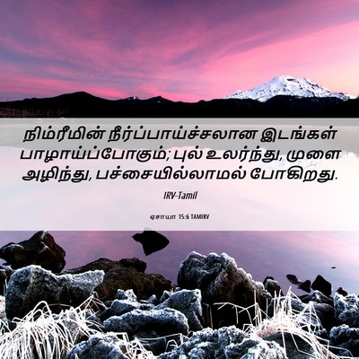 Picture 06 - ஏசாயா 15:6 TAMIRV - நிம்ரீமின் - Bible Verse Picture