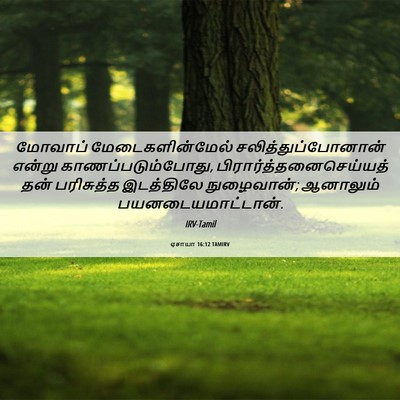 Picture 06 - ஏசாயா 16:12 TAMIRV - மோவாப் - Bible Verse Picture
