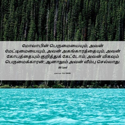 Picture 06 - ஏசாயா 16:6 TAMIRV - மோவாபின் - Bible Verse Picture