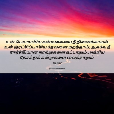 Picture 06 - ஏசாயா 17:10 TAMIRV - உன் பெலமாகிய - Bible Verse Picture