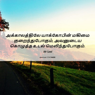 Picture 06 - ஏசாயா 17:4 TAMIRV - அக்காலத்திலே - Bible Verse Picture