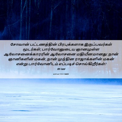 Picture 06 - ஏசாயா 19:11 TAMIRV - சோவான் - Bible Verse Picture
