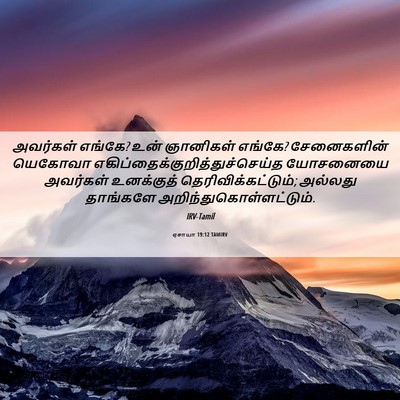 Picture 06 - ஏசாயா 19:12 TAMIRV - அவர்கள் எங்கே? உன் - Bible Verse Picture