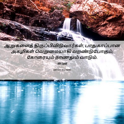 Picture 06 - ஏசாயா 19:6 TAMIRV - ஆறுகளைத் - Bible Verse Picture