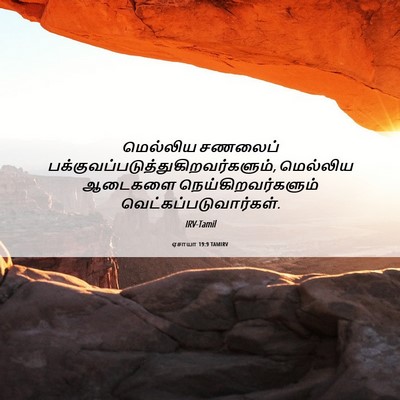 Picture 06 - ஏசாயா 19:9 TAMIRV - மெல்லிய சணலைப் - Bible Verse Picture